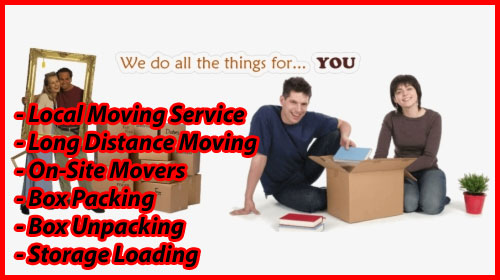 Packers And Movers Noida Sector 46